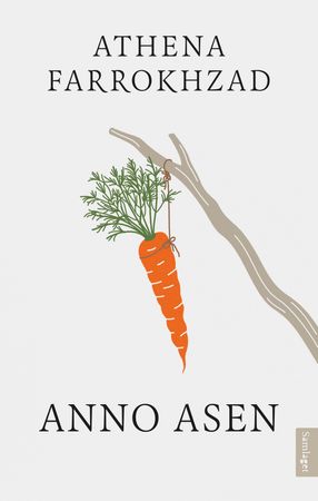Anno asen 9788234013553 Athena Farrokhzad Brukte bøker