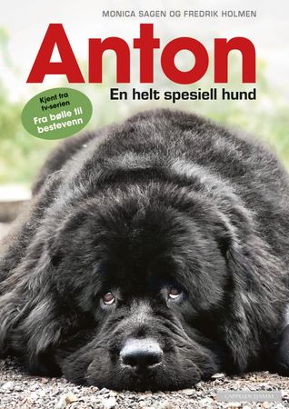 Anton 9788202672379 Rannveig Revhaug Monica Sagen Fredrik Holmen Brukte bøker