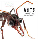 Ants 9781419748493 Eleanor Spicer Rice Brukte bøker