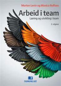Arbeid i team : læring og utvikling i team 9788245018004 Morten Levin Monica Rolfsen Brukte bøker