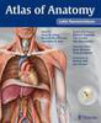 Atlas of Anatomy: Latin Nomenclature 9781604060997 Erik Schulte Lawrence M. Ross Anne M. Gilroy Brukte bøker