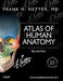 Atlas of Human Anatomy: Including Student Consult Interactive Ancillaries and… 9781455704187 Frank H. Netter Brukte bøker