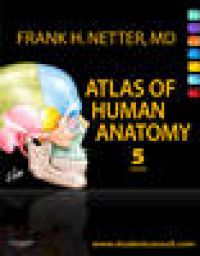 Atlas of Human Anatomy: With Student Consult Access 9781416059516 Frank H. Netter Brukte bøker