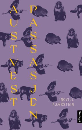 Austvestpassasjen 9788234011245 Ingvill Kjærstein Brukte bøker