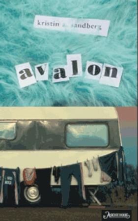 Avalon 9788203185656 Kristín A. Sandberg Brukte bøker
