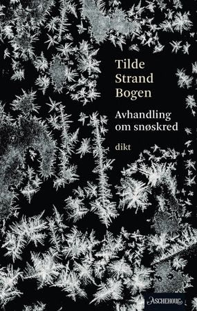 Avhandling om snøskred 9788203379833 Tilde Strand Bogen Brukte bøker