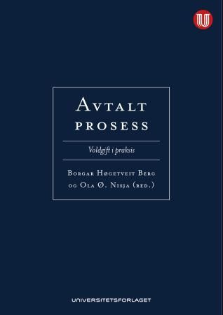 Avtalt prosess 9788215024202  Brukte bøker