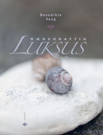 Bærekraftig luksus 9788292922408 Benedikte Vaag Brukte bøker