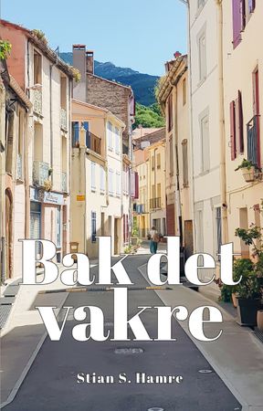 Bak det vakre 9788281633261 Stian Hamre Brukte bøker