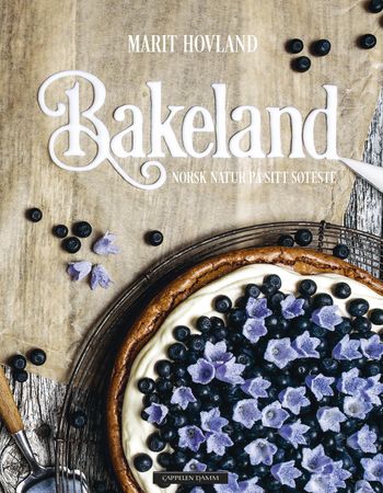 Bakeland 9788202489809 Marit Hovland Brukte bøker