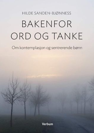 Bakenfor ord og tanke 9788254313589 Hilde Sanden-Bjønness Brukte bøker