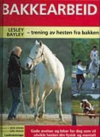 Bakkearbeid 9788252929072 Lesley Bayley Brukte bøker