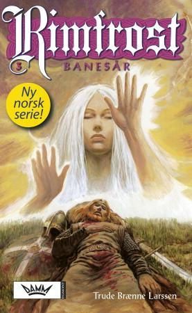 Banesår 9788204125385 Trude Brænne Larssen Brukte bøker