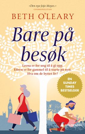 Bare på besøk 9788205565104 Beth O'Leary Brukte bøker