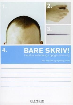 Bare skriv! 9788202239398 Ingeborg Støren Jørn Stordalen Brukte bøker