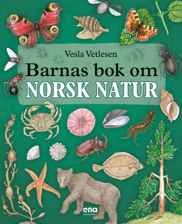 Barnas bok om norsk natur 9788241954474 Vesla Vetlesen Brukte bøker