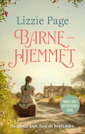 Barnehjemmet 9788248938750 Lizzie Page Brukte bøker