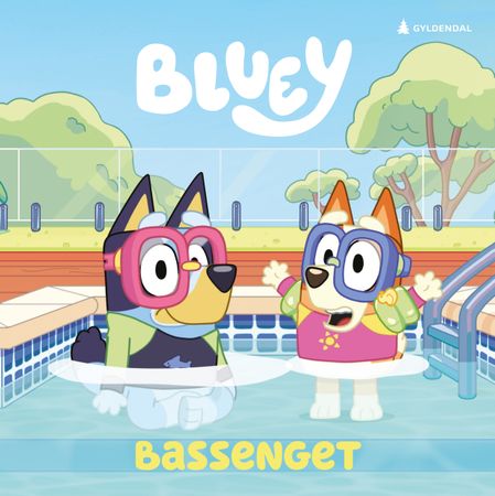Bassenget 9788205580695  Brukte bøker