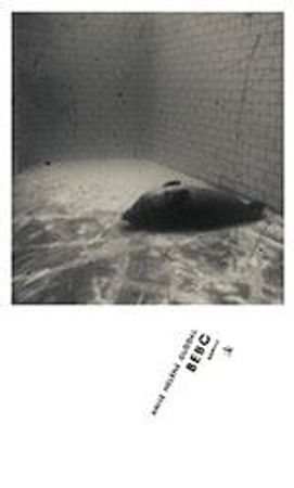 Bebo 9788205485976 Anne Helene Guddal Brukte bøker