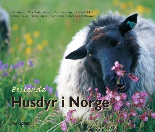 Beitende husdyr i Norge 9788252930634 Nina Hovden Sæter Ann Norderhaug Mona G. Holtet Øystein Holand Erling Fimland Hanne Sickel Anne Karin Hufthammer Odd Vangen Brukte bøker