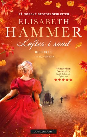 Beleiret 9788202896331 Elisabeth Hammer Brukte bøker