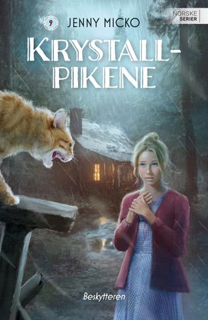 Beskytteren 9788202856779 Jenny Micko Brukte bøker