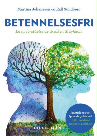 Betennelsesfri 9788293154884 Martina Johansson Ralf Sundberg Brukte bøker