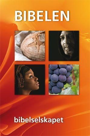 Bibelen 9788254107652 Kristina Reftel Brukte bøker