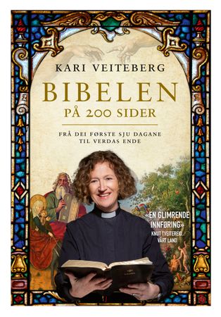 Bibelen på 200 sider 9788248929352 Kari Veiteberg Brukte bøker