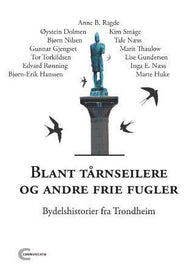 Blant tårnseilere og andre frie fugler 9788292400272  Brukte bøker