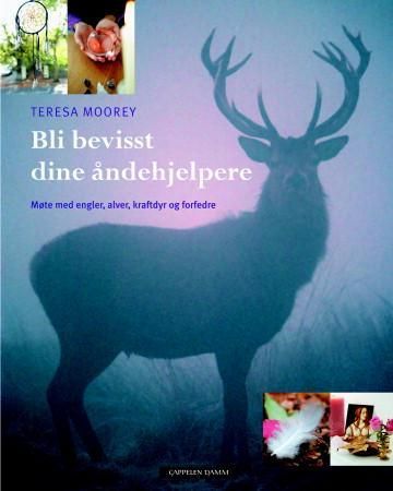 Bli bevisst dine åndehjelpere 9788202290061 Teresa Moorey Brukte bøker