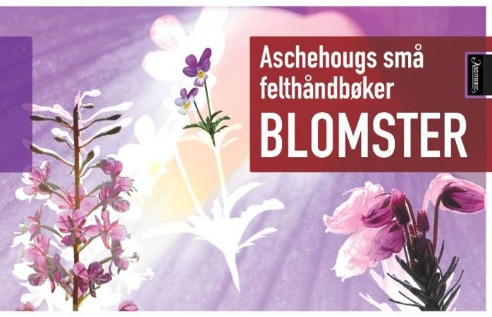 Blomster 9788203235634 Tore Fonstad Brukte bøker