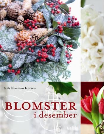 Blomster i desember 9788292496268 Nils Norman Iversen Brukte bøker
