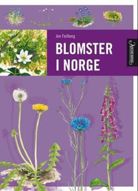 Blomster i Norge 9788203223747 Jon Feilberg Brukte bøker