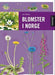 Blomster i Norge 9788203223747 Jon Feilberg Brukte bøker