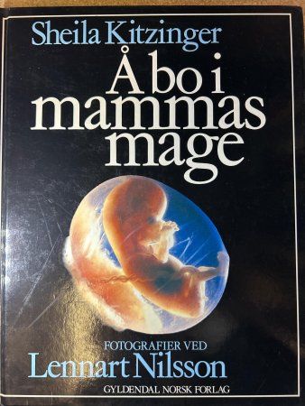 Å bo i mammas mage 9788205167728 Sheila Kitzinger Brukte bøker