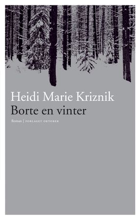 Borte en vinter 9788249503810 Heidi Marie Kriznik Brukte bøker