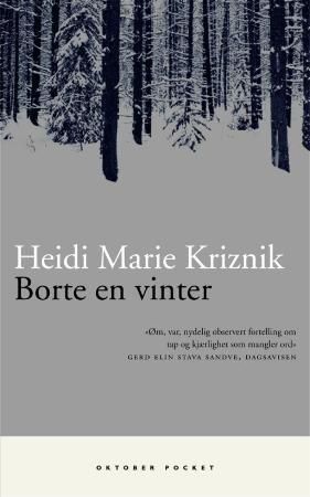 Borte en vinter 9788249506149 Heidi Marie Kriznik Brukte bøker