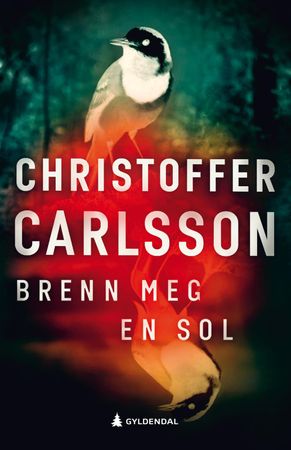 Brenn meg en sol 9788205555310 Christoffer Carlsson Brukte bøker