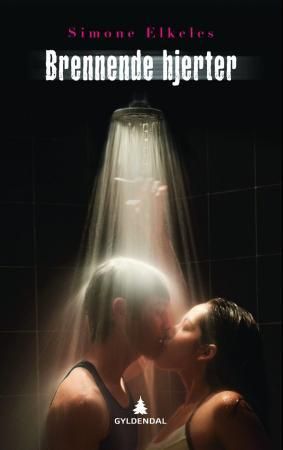Brennende hjerter 9788205420847 Simone Elkeles Brukte bøker