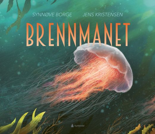 Brennmanet 9788205622173 Synnøve Borge Brukte bøker