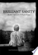 Brilliant Sanity 9780976463849 Francis J. Kaklauskas Susan Nimanheminda Louis Hoffman MacAndrew S. Jack Brukte bøker