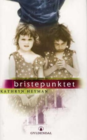Bristepunktet 9788205276987 Kathryn Heyman Brukte bøker