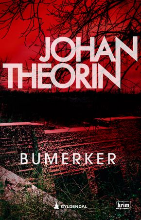 Bumerker 9788205598379 Johan Theorin Brukte bøker