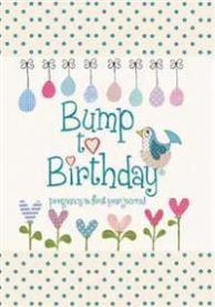 Bump to Birthday, PregnancyFirst Year Journal 9781907048418 Helen from you to me Stephens Brukte bøker