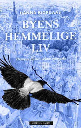 Byens hemmelige liv 9788202653330 Hanna Bjørgaas Brukte bøker