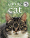 Caring for Your Cat 9780004133096 Angela Gair Brukte bøker