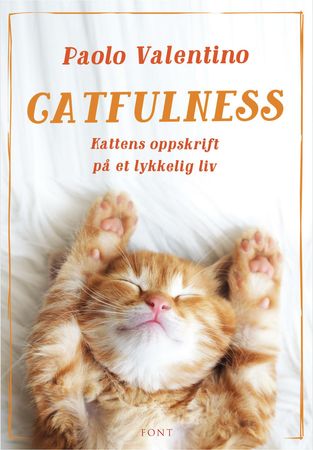 Catfulness 9788281694330  Brukte bøker