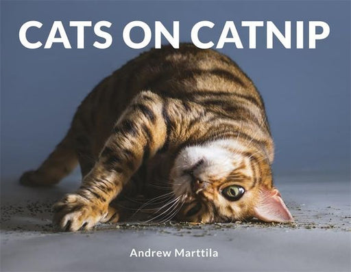 Cats on catnip 9781472142672 Andrew Marttila Brukte bøker