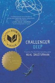 Challenger Deep 9780061134142 Shusterman Neal Brukte bøker